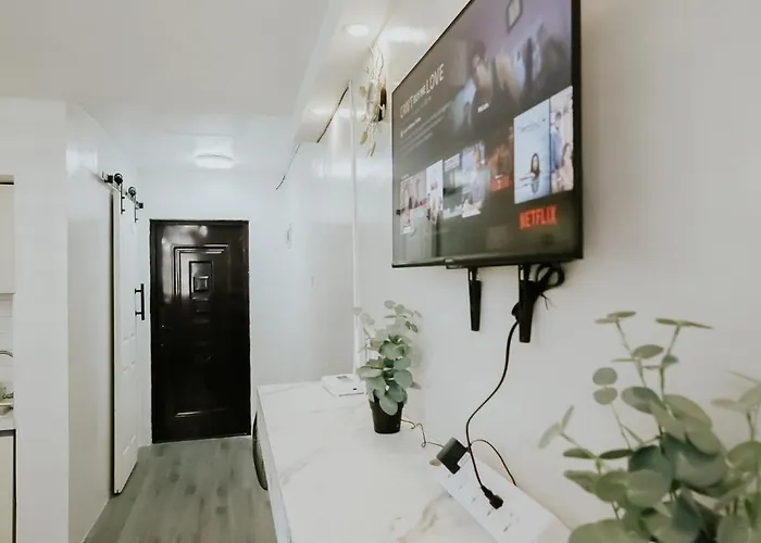 Near Airport & Beaches, Wifi, Netflix, Pool Apartment
